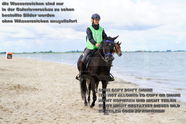 s_K3F05124.JPG